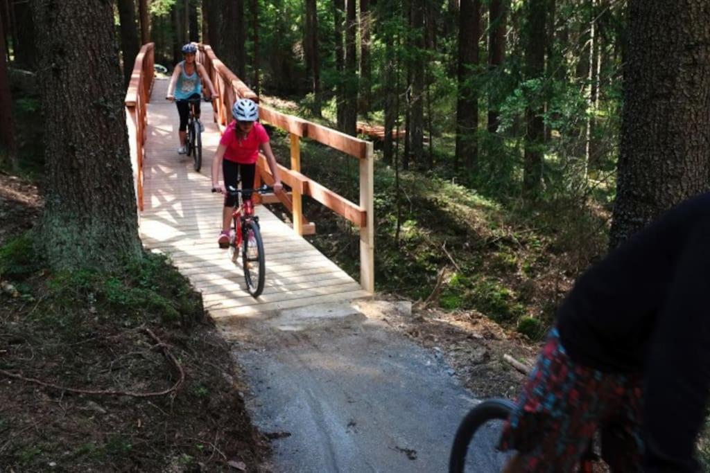 Apartman S Terasou A Vyhledem Na Jezero Lipno Kovářov Extérieur photo